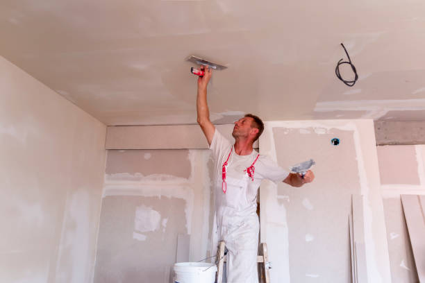 Best Drywall Sanding and Smoothing  in Ko Olina, HI